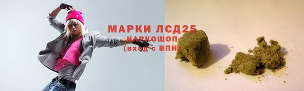 индика Осташков