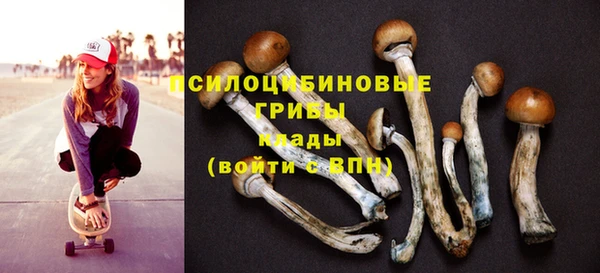 дмт Балахна