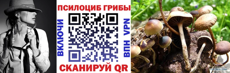 Галлюциногенные грибы Psilocybine cubensis Щёкино